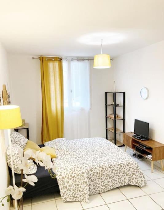 Studio A 5 Mn A Pied De La Gare Saint-Roch Μονπελιέ Εξωτερικό φωτογραφία